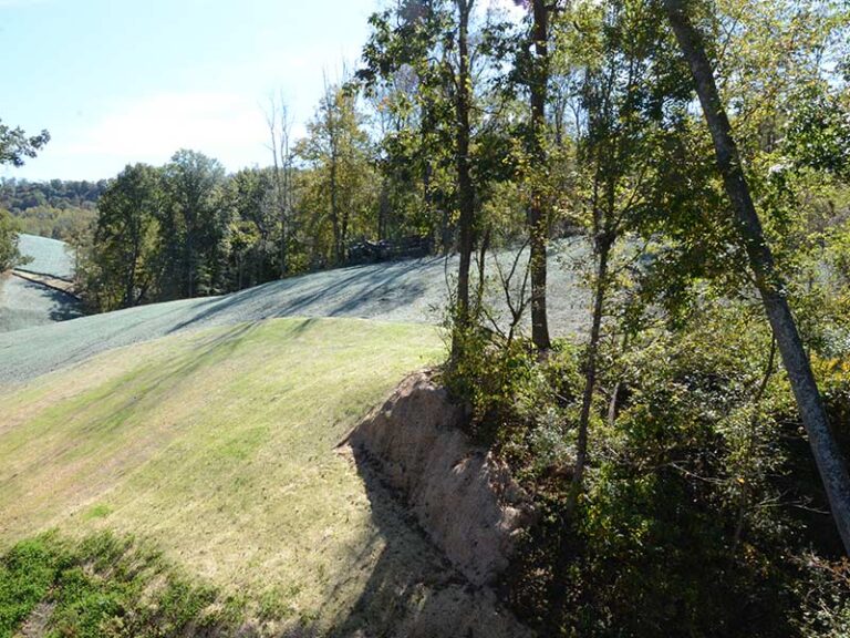 Erosion Control Photo 2