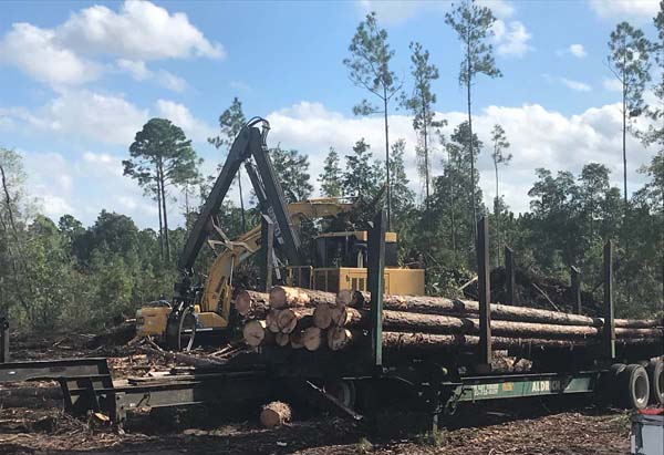 Land Clearing Header